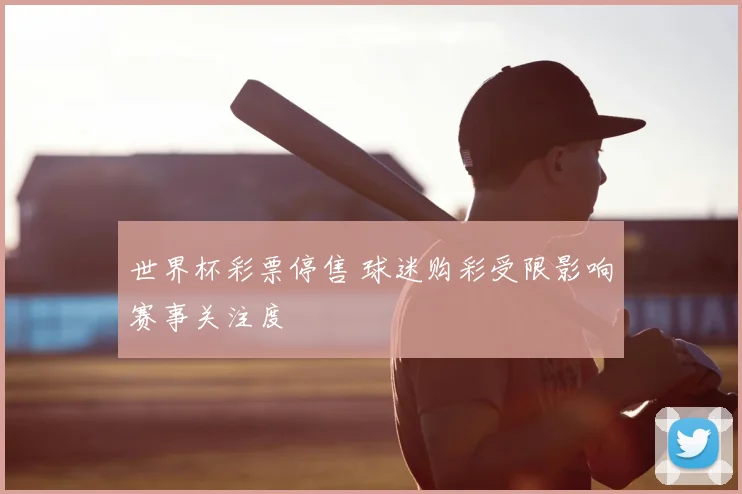 世界杯彩票停售 球迷购彩受限影响赛事关注度