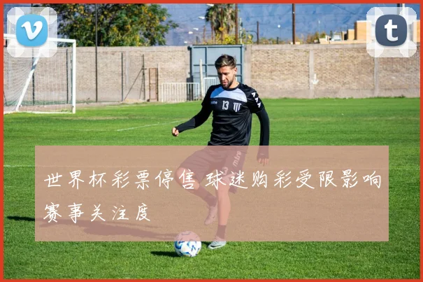 世界杯彩票停售 球迷购彩受限影响赛事关注度